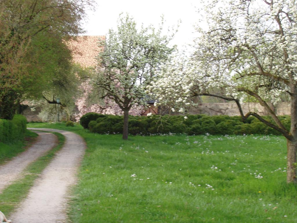 Château De Werde Matzenheim Exterior foto